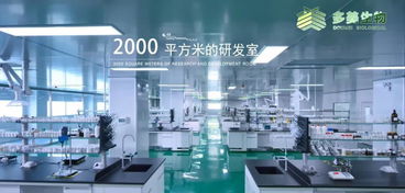 多美生物 技術(shù)賦能，實現(xiàn)“今日下單，明日出貨”的極致效率